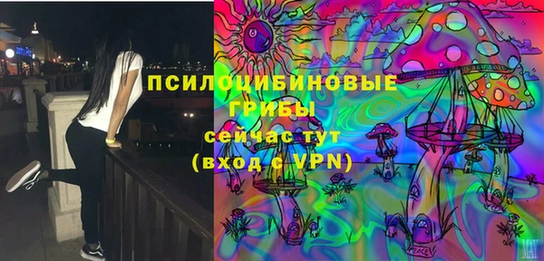 спайс Алексин
