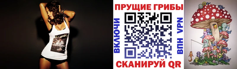 Псилоцибиновые грибы Psilocybe Долинск